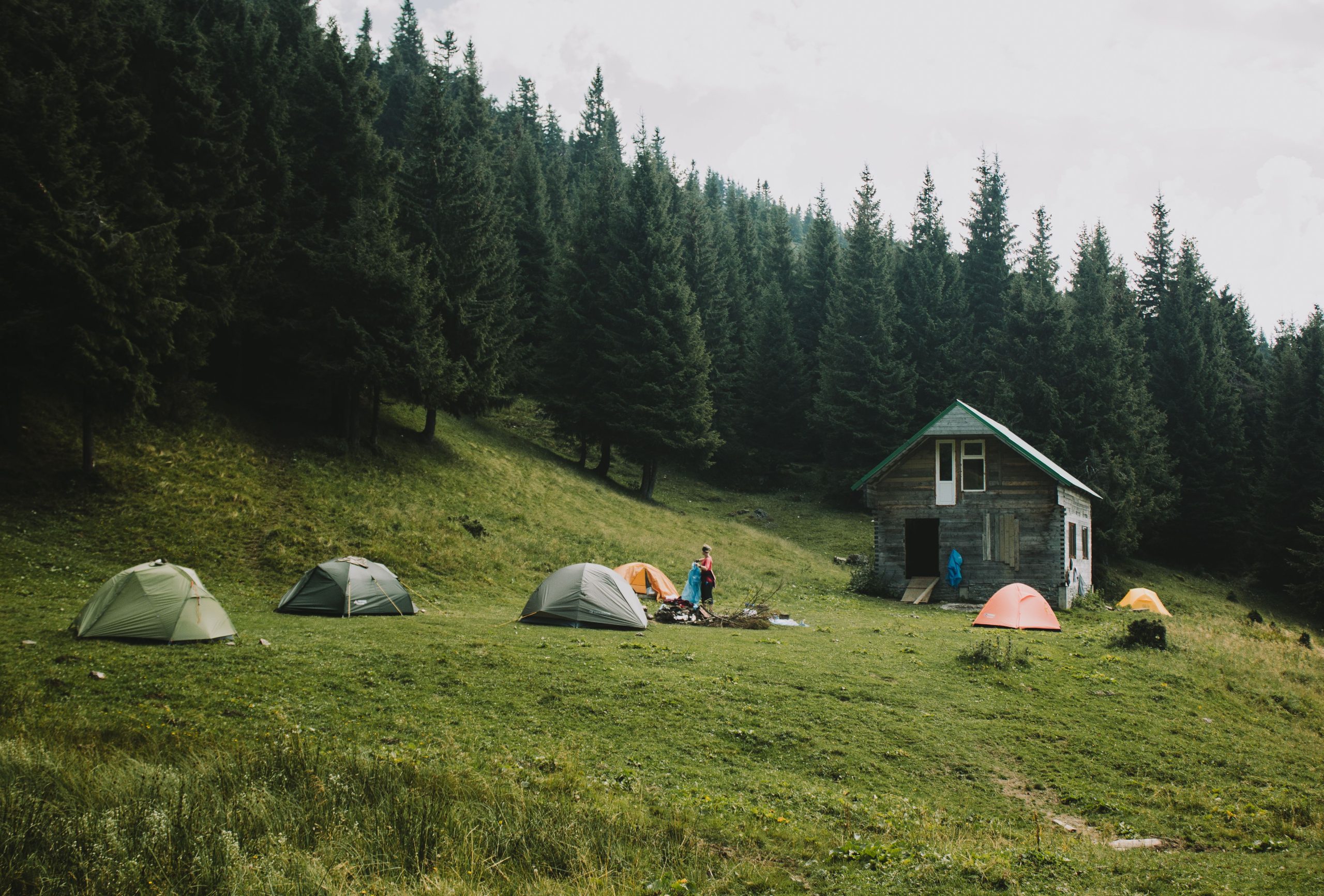 pexels-going-to-the-river-1386266882-26146528
